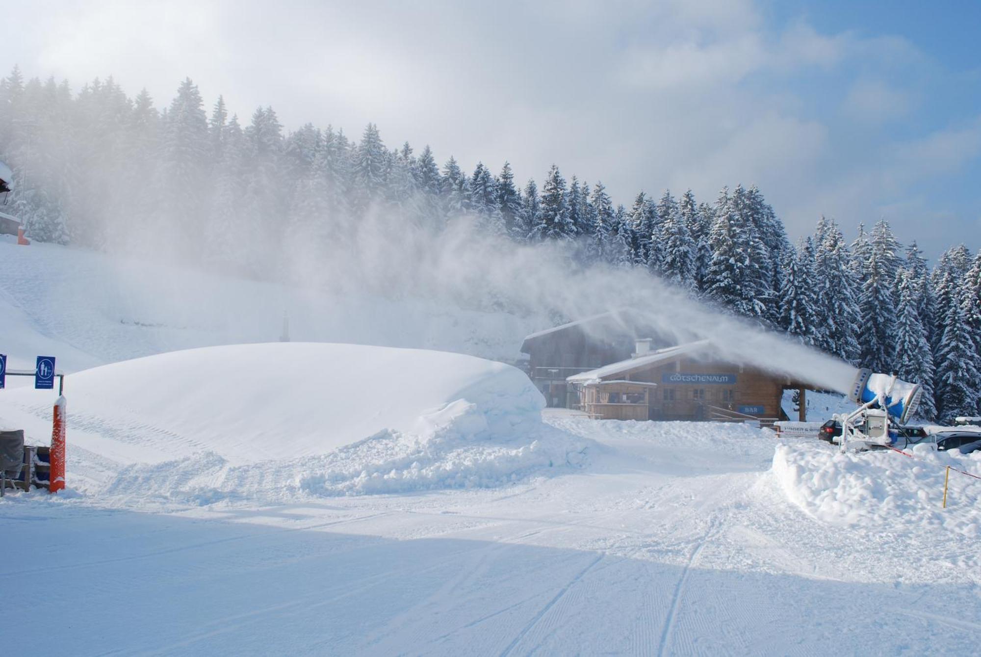 Alpengasthof Goetschenalm ビショフスヴィーゼン エクステリア 写真