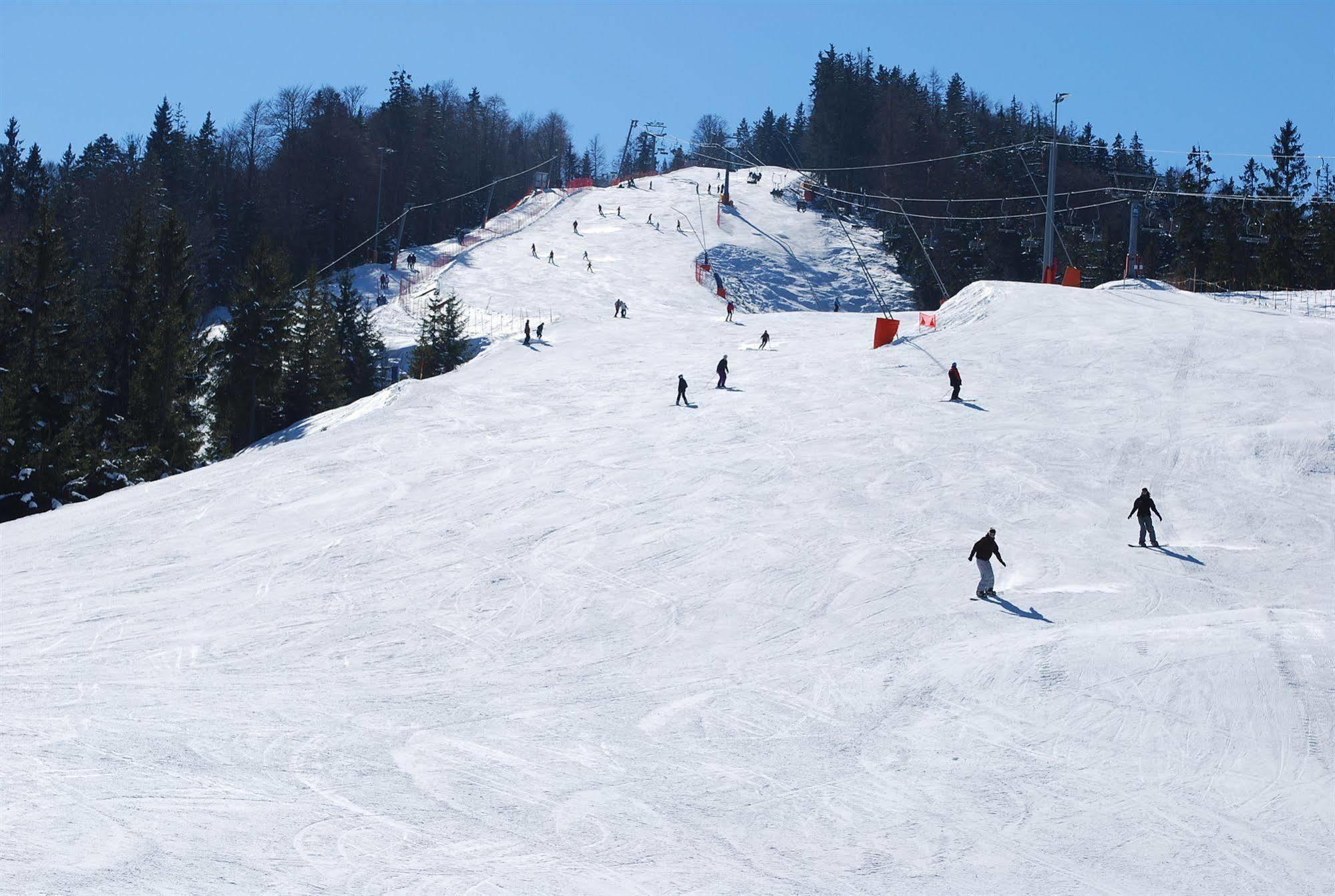 Alpengasthof Goetschenalm ビショフスヴィーゼン エクステリア 写真